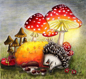 Hedgehog Dougal sleeps under mushrooms