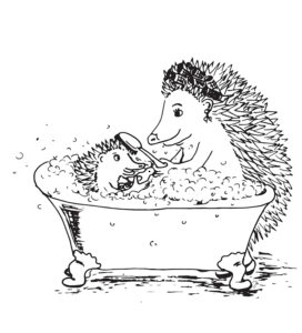Little hedgehog Dougal getting a bath with his Mumma hog
